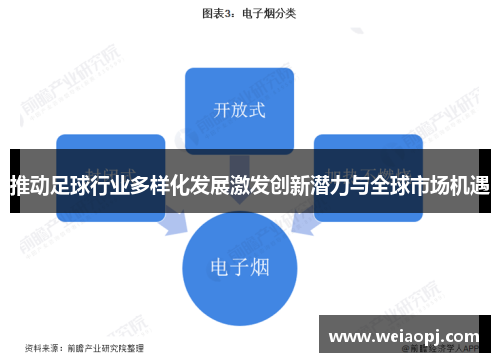 推动足球行业多样化发展激发创新潜力与全球市场机遇