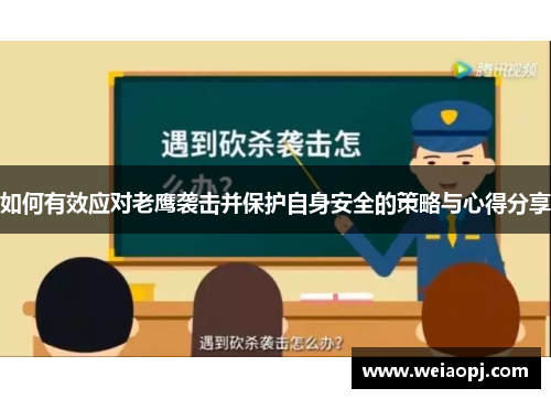 如何有效应对老鹰袭击并保护自身安全的策略与心得分享