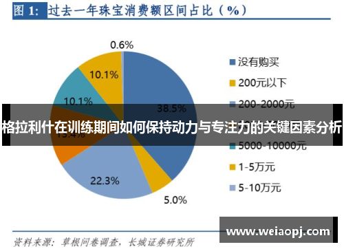 格拉利什在训练期间如何保持动力与专注力的关键因素分析