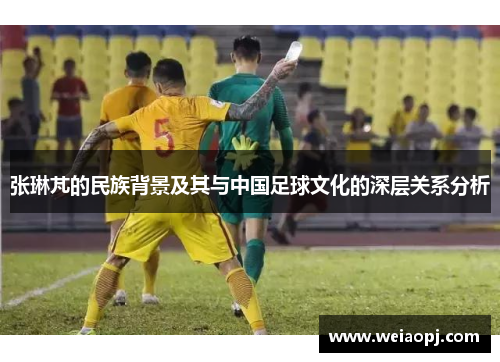 张琳芃的民族背景及其与中国足球文化的深层关系分析